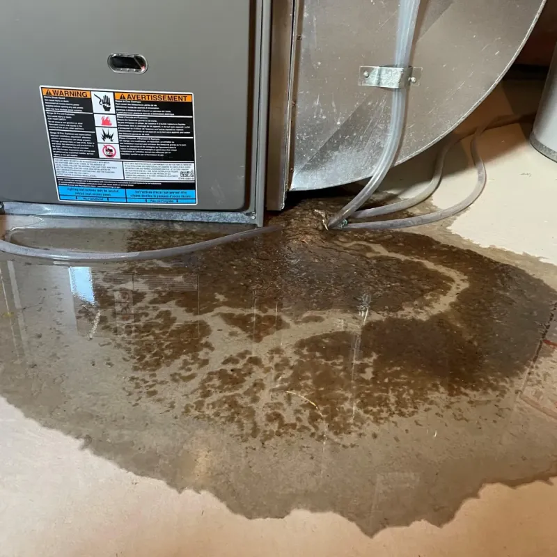 Appliance Leak Cleanup in Duquesne, MO