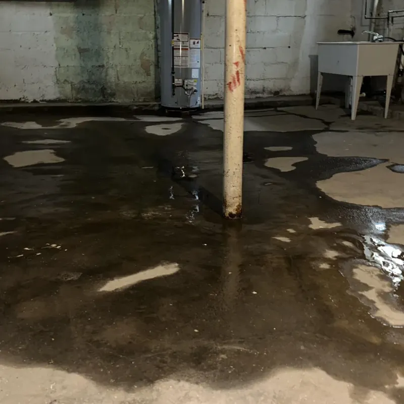 Emergency Water Extraction And Removal in Duquesne, MO